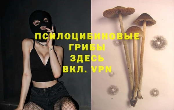 спайс Верея