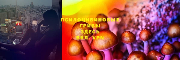 спайс Верея