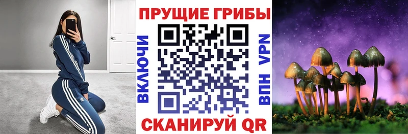 где можно купить OMG вход Галлюциногенные грибы мицелий Лукоянов